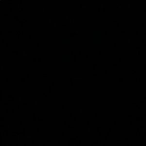 Meet your Posher, Aseel